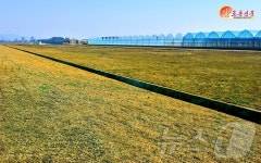 北 방대한 면적의 지대정리 마감단계…신의주 온실종합농장건설장 조명