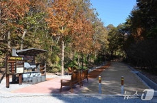 울산 남구 갈현마을에 힐링 누리길 조성…세족장 등 구비