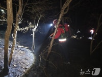 천안 동남구 목천읍서 산불…33분 만에 진화
