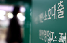 금융권 주택 자금 대출 제한·중단