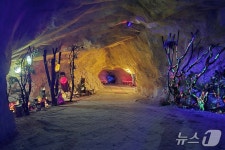 [이슈점검] 충주 활옥동굴이 5년간 불법 영업한 이유