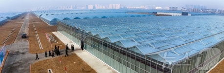 김정은, 신의주온실종합농장 현지지도