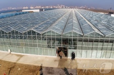 김정은, 신의주온실종합농장 현지지도…불모의 땅을 황금성으로