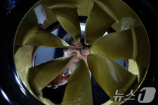 세계의 바다가 내 무대