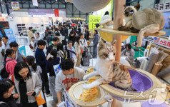 반려묘를 위한 모든것이 한자리에