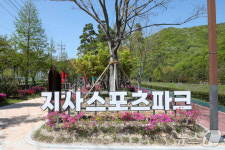 부산 강서구, 허가 없이 체육시설 설치해 기관경고