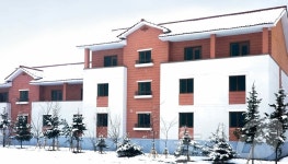 北 자강도 장평농장에 신축된 다양한 형식의 살림집