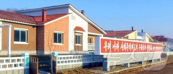 北 항구구역 우산목화농장에 들어선 새 주택들