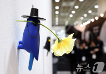 서씨가 되고 싶은 파랑새