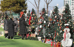 대구 앞산빨래터공원 크리스마스트리
