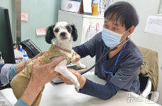 버려진 동물까지 품는다…성남시립동물병원 진료 대상 확대