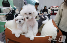 2025 PET&MORE 수원 반려동물 박람회