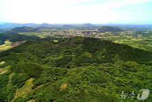 내년부터 세계자연유산 거문오름 분화구 코스 자율탐방