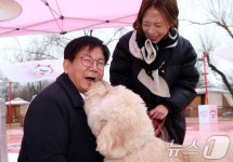 마포반려동물캠핑장, 연말 맞아 댕댕이 크리스마스 페스타펫세권 마포 알리는 홍보견 바오, 크리스마스 데뷔