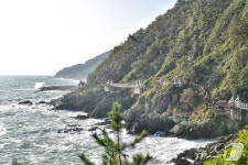 묘지 연상…부산 이기대 옛돌스트리트 주민 반발에 석물 이전