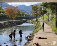 부산 강서구 지사천 물고기 폐사 원인, 공장 폐수 때문 아냐