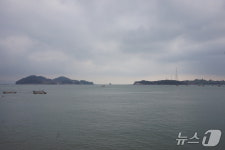 [진도의 섬, 세상의 별 ⑲] 금호도(金湖島)