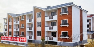 北 청단군 신생농장서 새집들이…우리식 농촌 발전