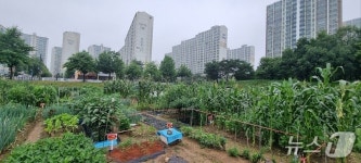 파주시 시민주말농장, 23일까지 분양 접수…연간 임대료 2170원