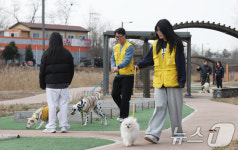 경기도 반려마루 화성, 겨울방학 청소년 자원봉사 운영