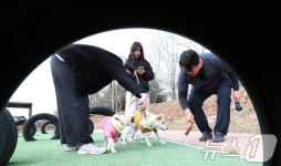 반려동물과 교감하며 배우는 교육