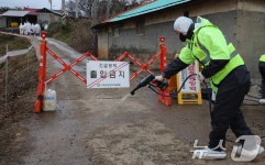 포천 양돈농장서 아프리카돼지열병…인접 8개 시·군 이동중지 명령