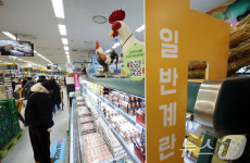 계란값 들썩이자 미 신선란 첫 도입