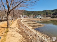 부산서 보기 드문 '결빙'…'겨울 가뭄' 겹쳐 담수량 '뚝'