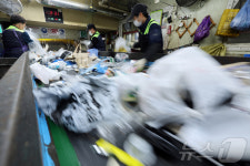 분주한 재활용선별장