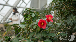 국립세종수목원 30일부터 100여종 동백나무 기획전