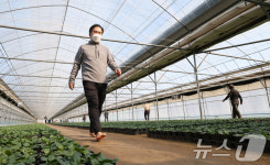 [뉴스1 PICK] 한파에도 맨발로 흙길 걷는 시민들…안양시 꽃양묘장 맨발길 인기