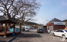 [진도의 섬, 세상의 별 ⑳]…접도(接島)