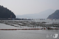 [진도의 섬, 세상의 별 ⑳]…접도(接島)