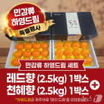 농업회사법인 제주의자랑 주식회사(4종) | 설 앞두고 '만감류 하영드림'…제주, 고향사랑기부제 답례품 특별행사