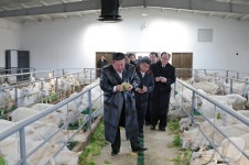 빠다와 치즈 대량 생산…김정은, 젖소 비집으며 축산농장 시찰(종합)