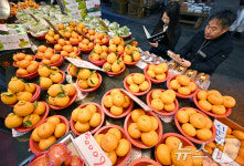 국립농산물품질관리원 경기지원, 설 맞아 원산지 표시 집중점검