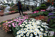 촉촉한 새봄 맞이