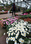 화훼단지의 봄