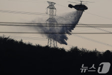 경주 문무대왕면 산불 해지기 전 잡는다!