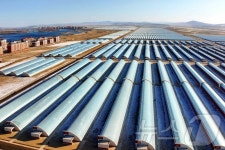 北, 신의주온실종합농장 첫 수확 알려