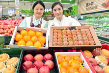 농협유통 하나로마트, 병오년 설 선물 과일 세트 추천