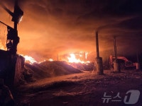 포천 폐목재 공장 화재