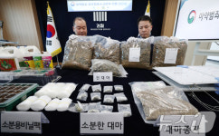건조 대마 및 대마 재배시설 압수품 공개하는 수사관들