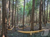 편백숲 우거진 달보드레농원 해남 1호 우수 치유농장 선정