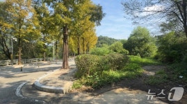 바리케이드는 옮겼지만 풀숲은 그대로…방마마을 진입로 착공 언제?