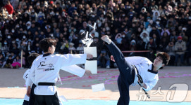 남산골에 펼쳐진 태권도의 아름다움