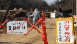 평택 양돈농장서 ASF 추가 발생… 화성 이어 경기권 확산