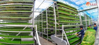 北 현대축산의 본보기…평안북도농촌경리위원회 삼광축산농장 조명