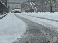 기습폭설에 세종 ‘얼음왕국‘…기상청 “최대 7㎝”