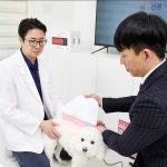 동물병원 치료, 집에서 이어간다…닥터펫 PBMT 재활 플랫폼 본격화